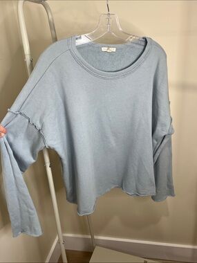 Eileen Fisher Dusty Light Blue Crewneck Sweatshirt